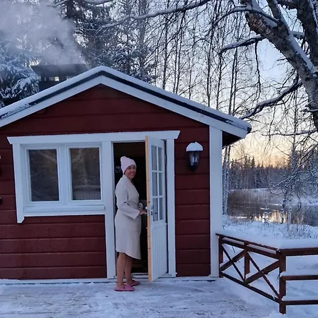 Arcticmint * Рованиеми