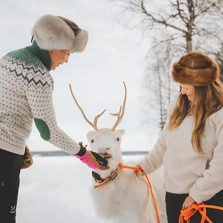 Arcticmint Rovaniemi