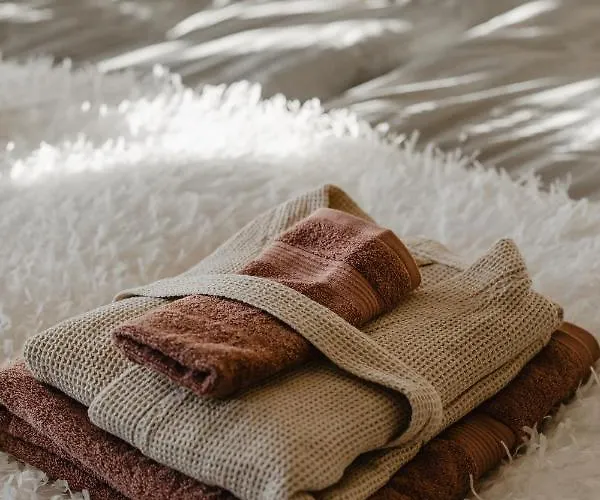 ヴィラ Arcticmint *