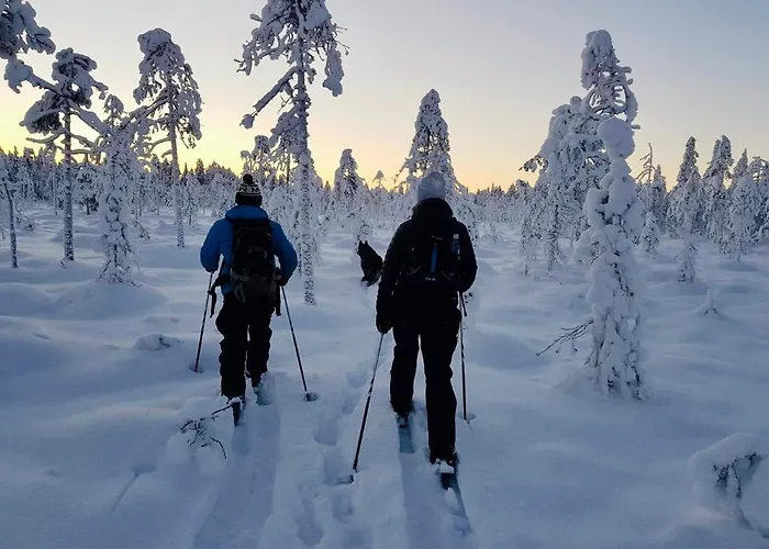 Вилла Arcticmint