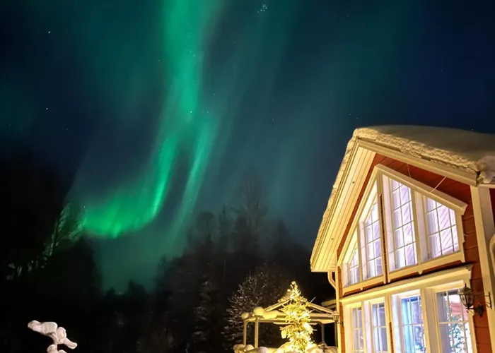 ヴィラ Arcticmint