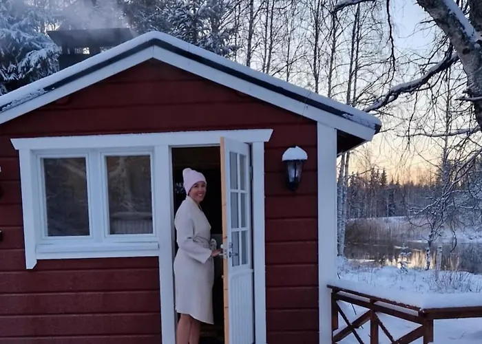 Arcticmint * Рованиеми